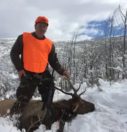 Utah Elk drfopped in his tracks with 340 WBY